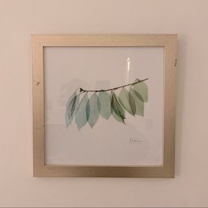 Gold Frame Leaf Print